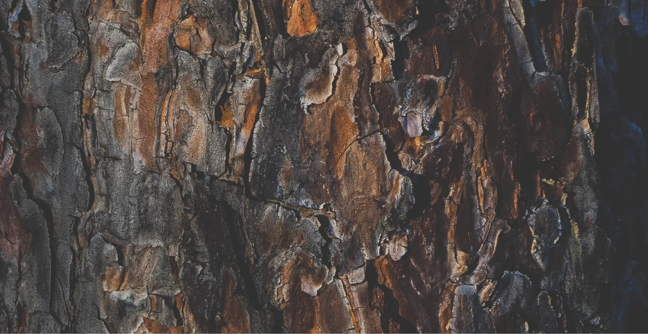 Luxury development image