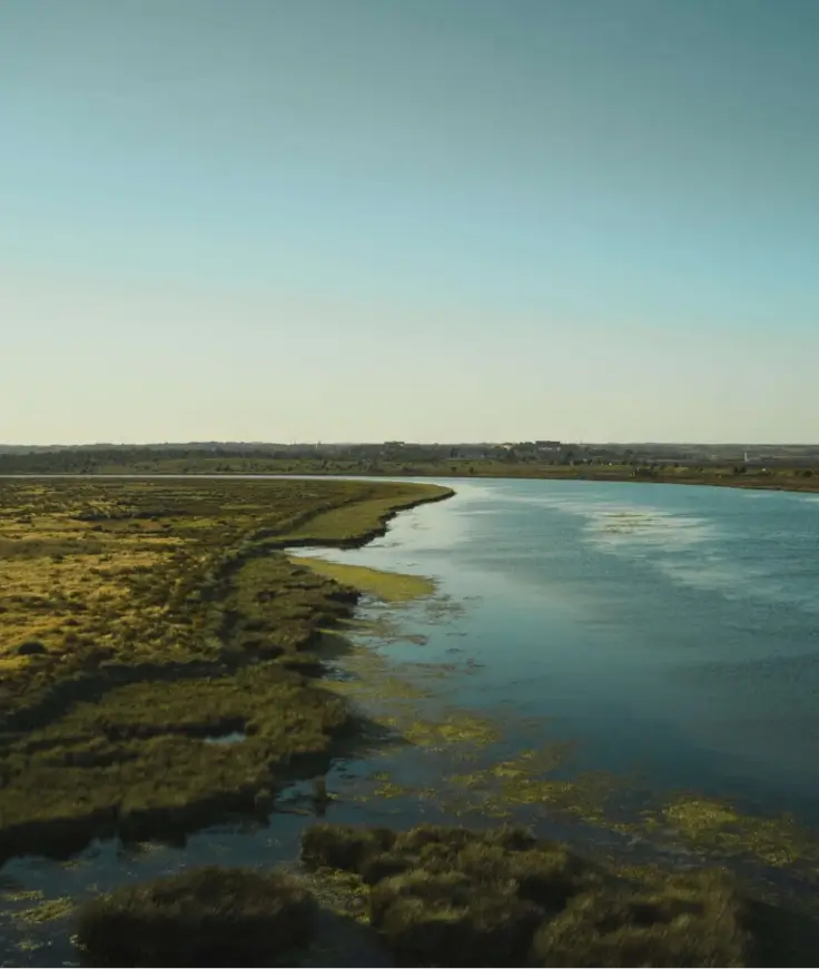 Return on Investment