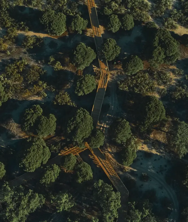 Footpaths and walkways