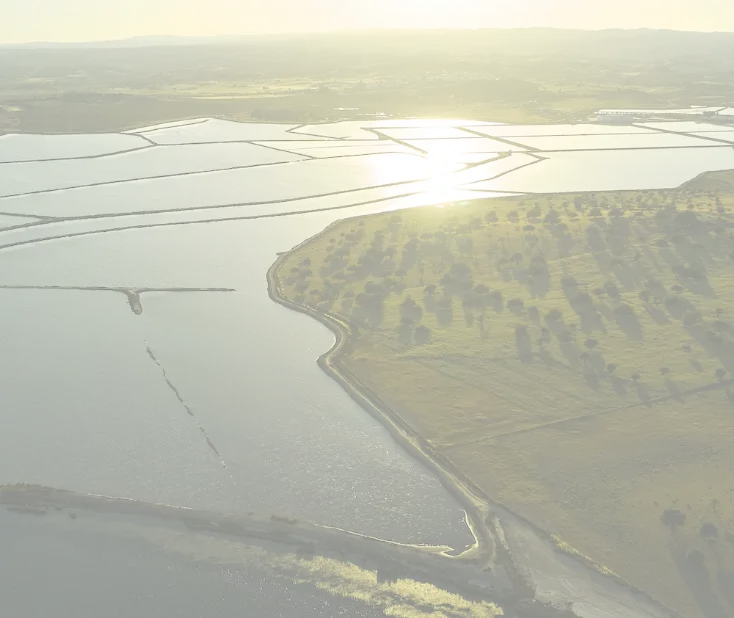Flight Over the Castro Marim