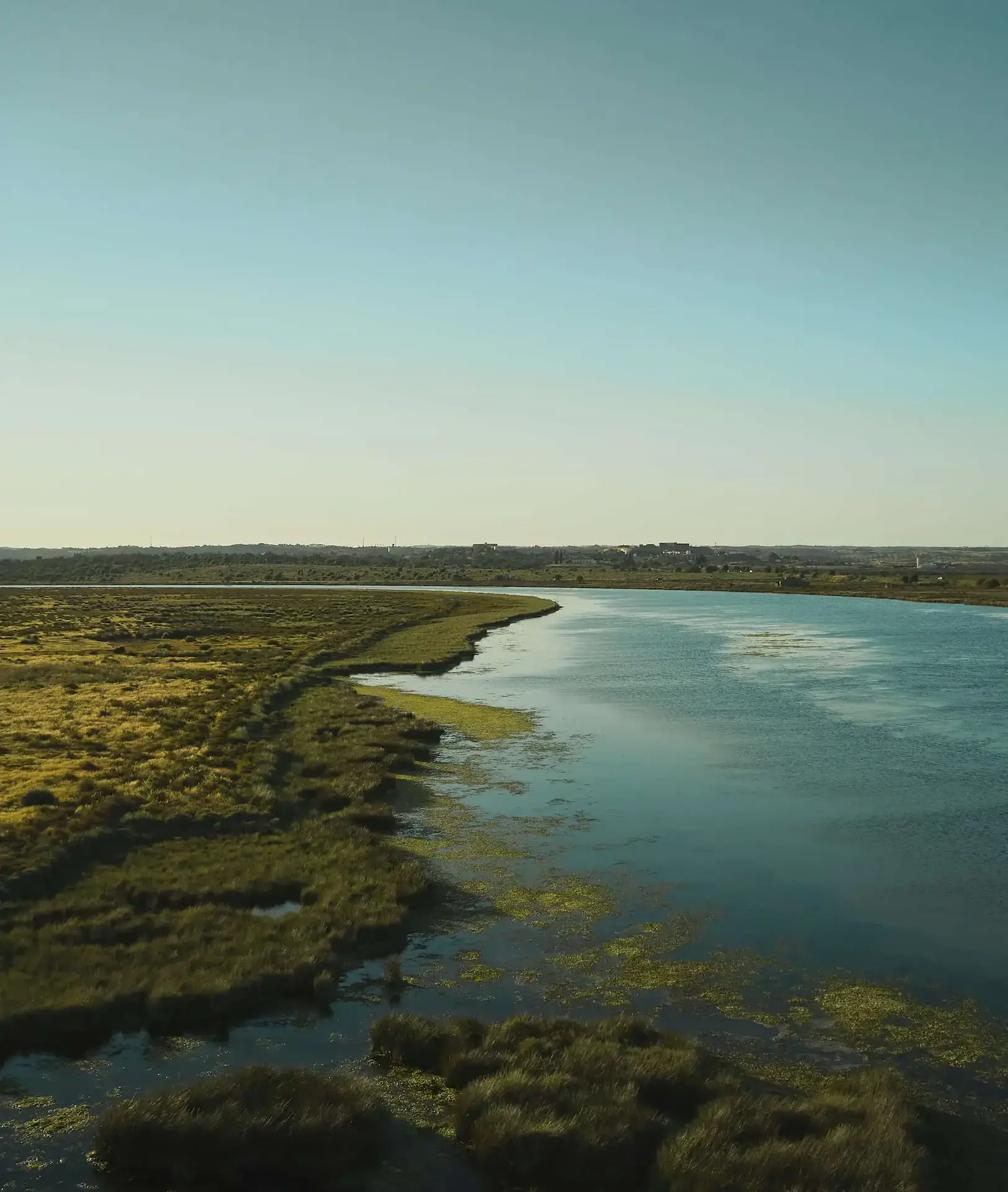 DJI_0421-1