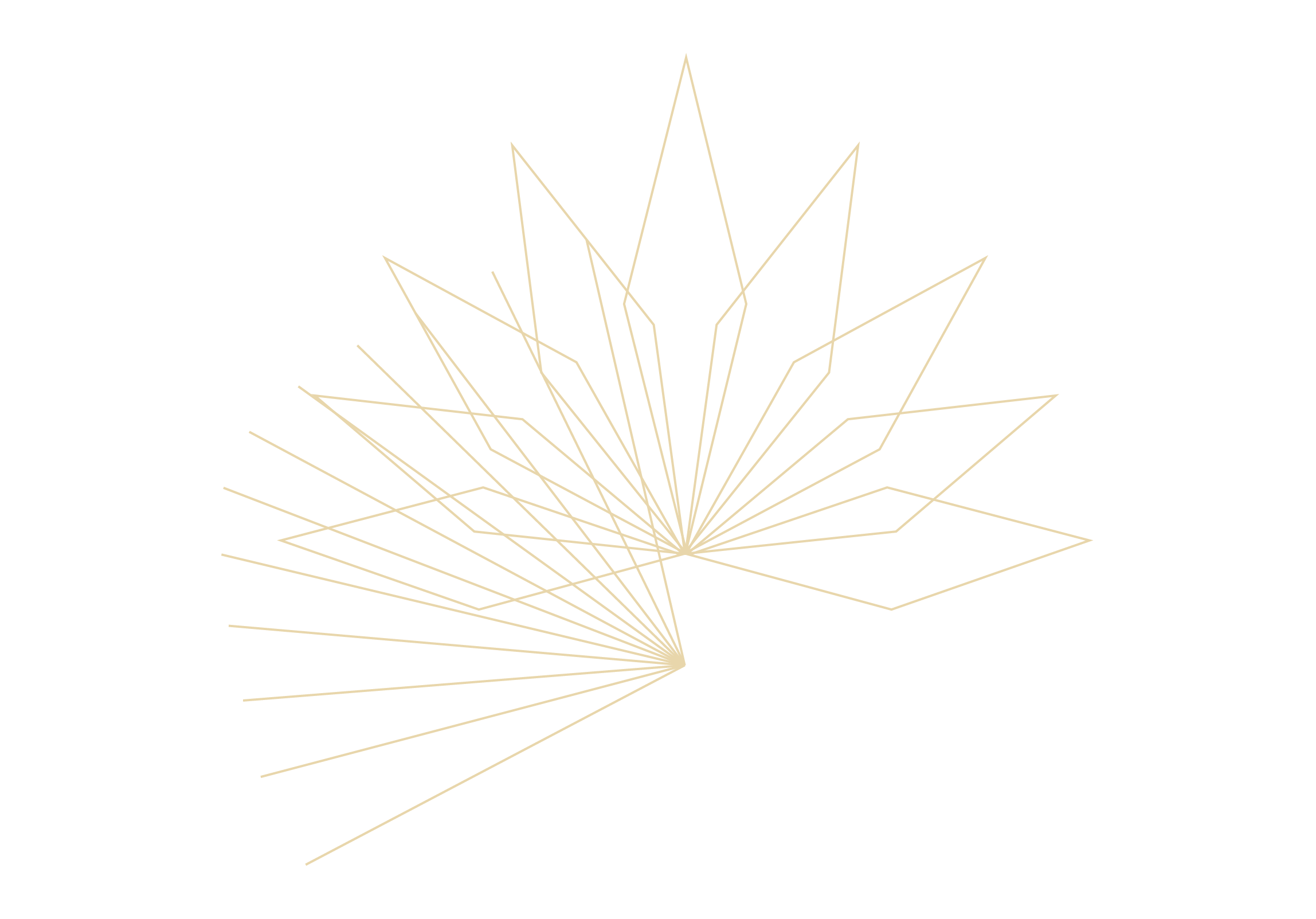 Verdelago Logo